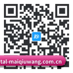 安卓 APP 二维码